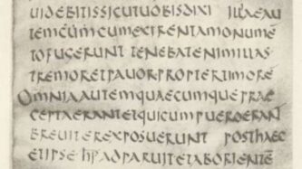 Codex Bobbiensis (k)