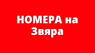 НОМЕРА на Звяра