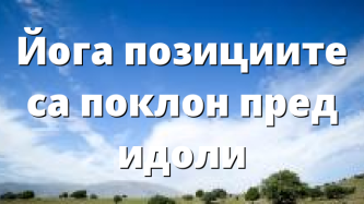 Йога позициите са поклон пред идоли