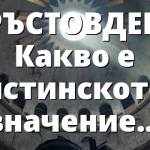 КРЪСТОВДЕН – Какво е истинското значение на празника?