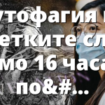 Аутофагия на клетките след само 16 часа в пост