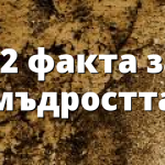 12 факта за мъдростта