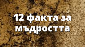 12 факта за мъдростта