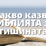 Какво казва БИБЛИЯТА за тишината