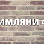 РИМЛЯНИ 41
