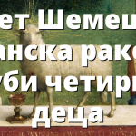 Бет Шемеш: иранска ракета уби четири деца