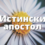 Истински апостол
