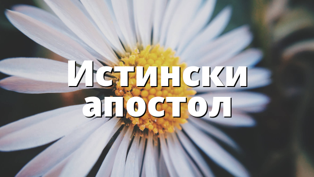Истински апостол
