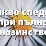 Какво следва при пълно мнозинство?