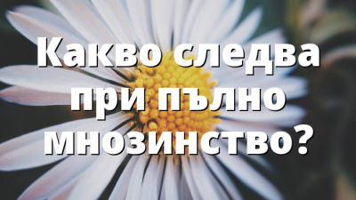 Какво следва при пълно мнозинство?
