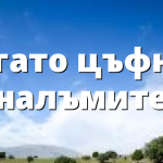 Когато цъфнат налъмите
