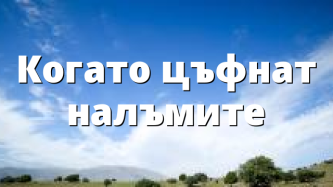 Когато цъфнат налъмите